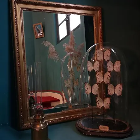 Ξενοδοχείο De L'amphitheatre